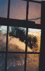 Winter Frost on Window